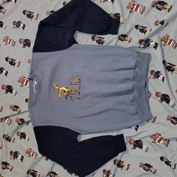 Disney Tops - Vintage 90s Tigger Im The Only One Blue Colorblock Sweatshirt Medium Pooh Disney